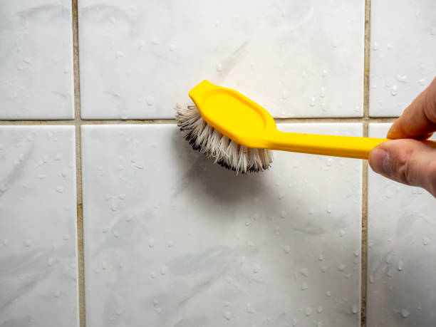 Best Mold Remediation for Schools in Trophy Clu, TX