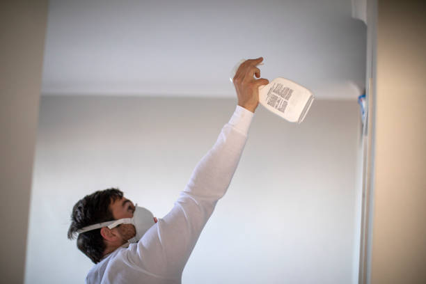 Best Attic Mold Remediation in Trophy Clu, TX