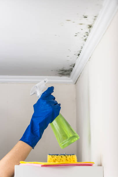 Best HVAC Mold Remediation in Trophy Clu, TX